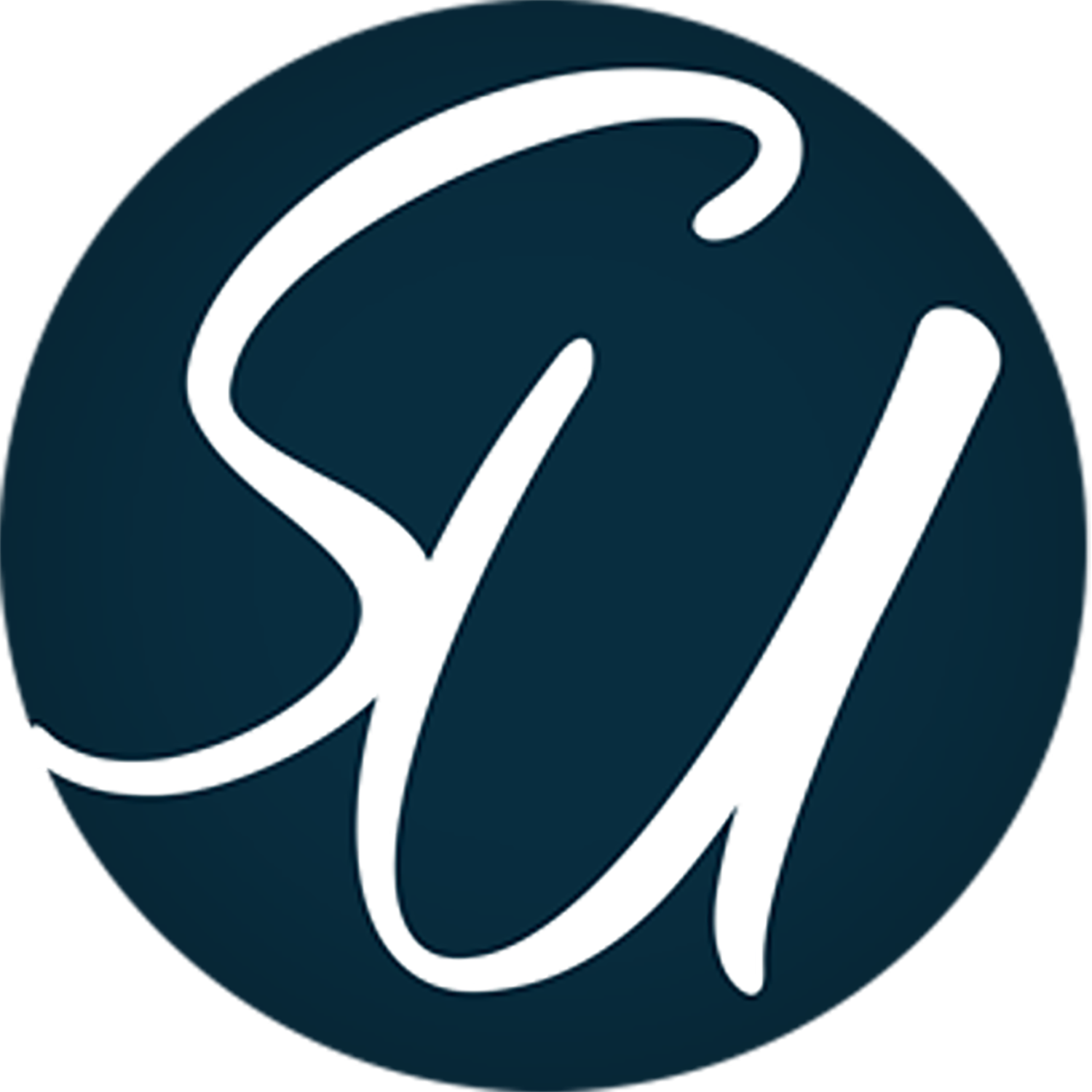 Brand Mark (Transparent)